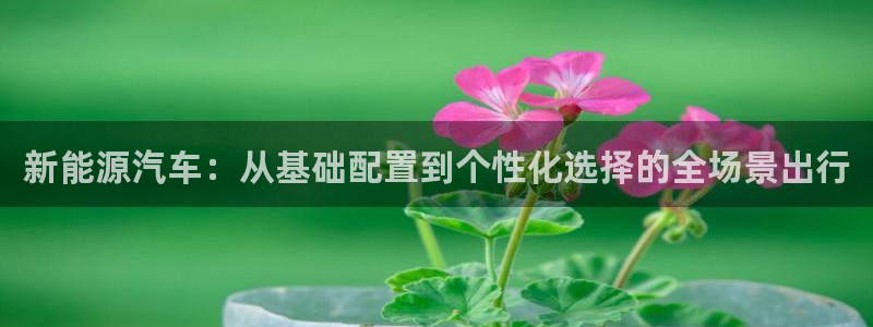 摩根在娱乐圈爆红
