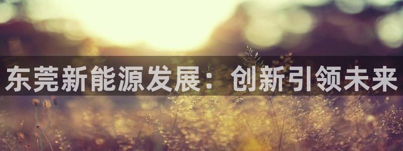 娱乐解说摩根
