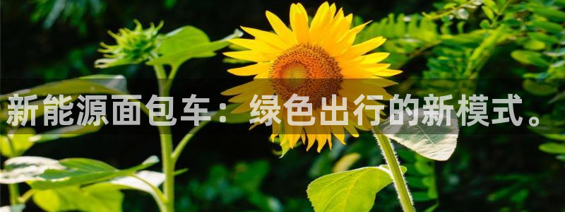 摩根娱乐宝
