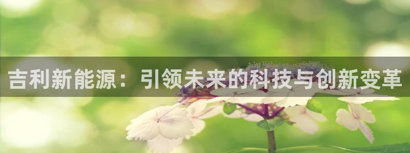 摩根娱乐宝官网百度