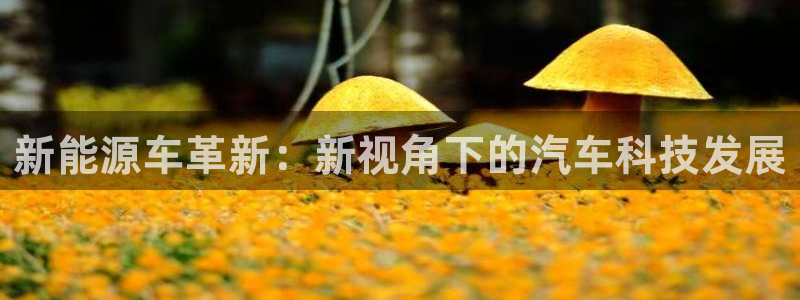 摩根娱乐和摩根国际