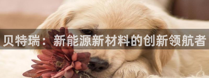 厦门摩根会娱乐