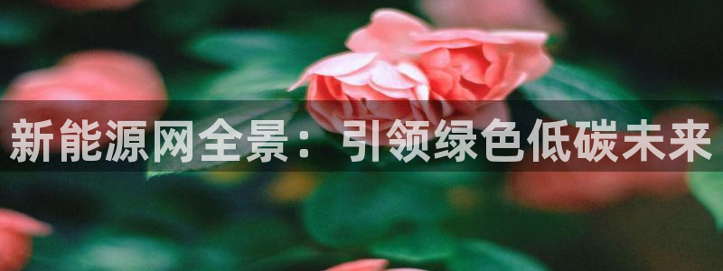 摩根国际娱乐宝