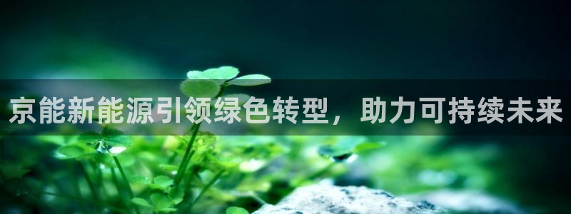 摩根娱乐平台云挂机安全吗：京能新能源引领