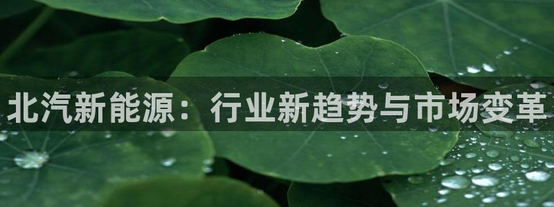 摩根 娱乐宝诈骗：北汽新能源：行业新趋势