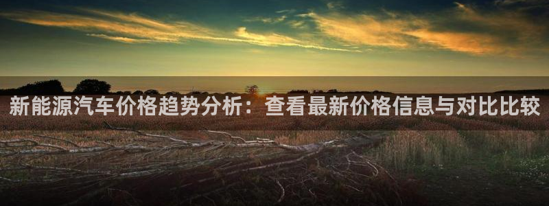 摩根娱乐宝的真假：新能源汽车价格趋势分析