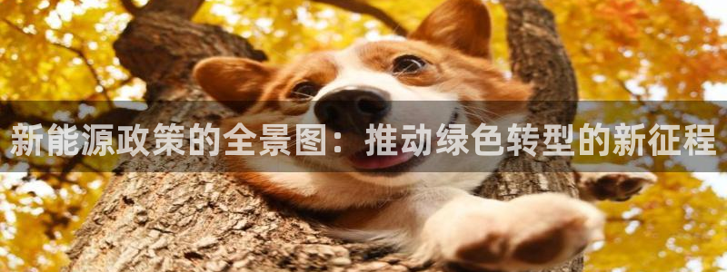 摩根娱乐宝 怎么样