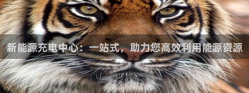 摩根娱乐宝被骗怎么办
