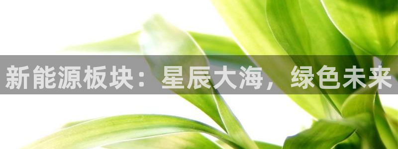 摩根娱乐首页