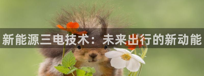 摩根中央公园娱乐