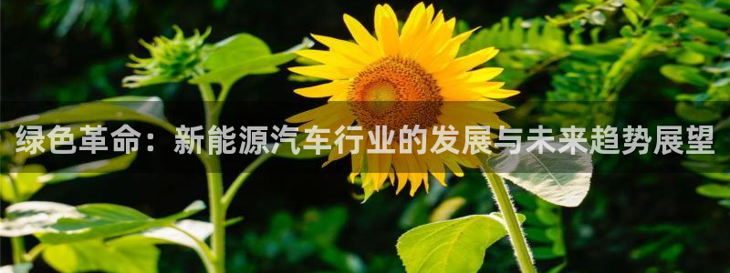 摩根娱乐dj