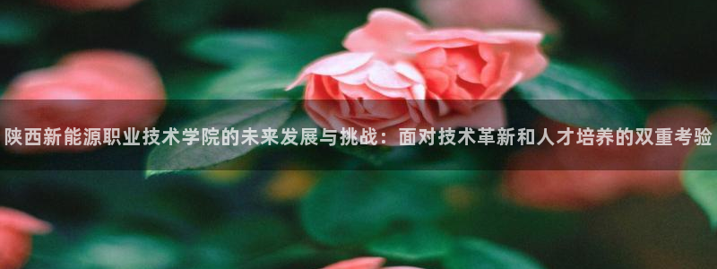华视娱乐摩根王琛