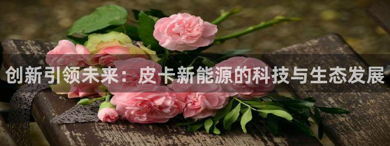 泉州摩根会娱乐保安公司