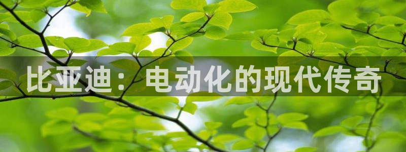 摩根娱乐宝收益怎么样：比亚迪：电动化的现