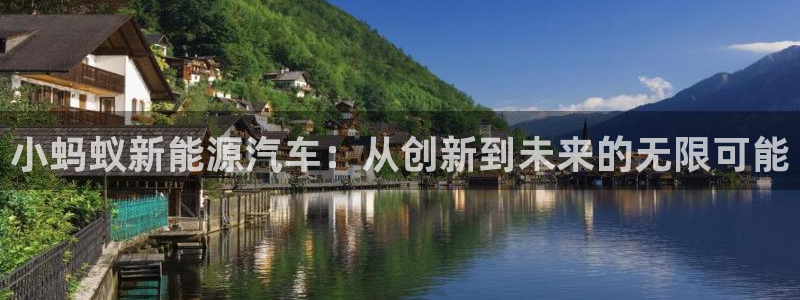 摩根大通会员买金沙娱乐：小蚂蚁新能源汽车