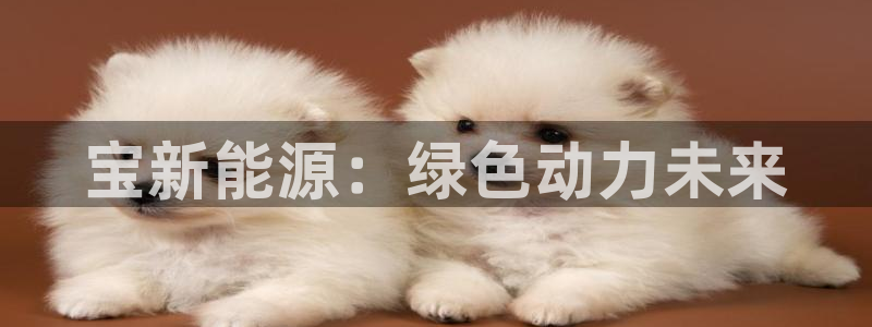 玩摩根娱乐宝亏了三千:宝新能源:绿色动力未来