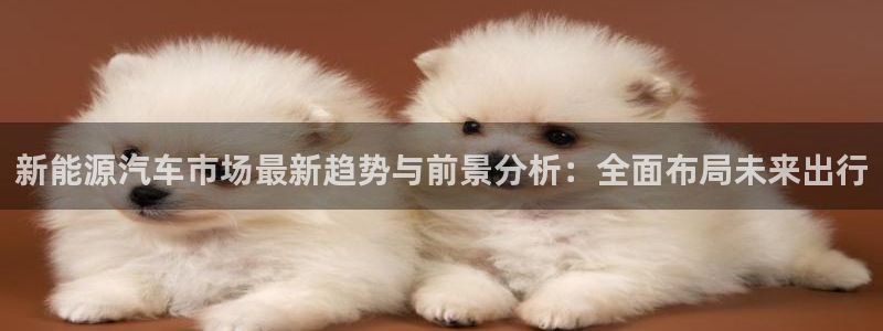 摩根娱乐开户总s管50015 18:新能源汽车市场最新趋势与