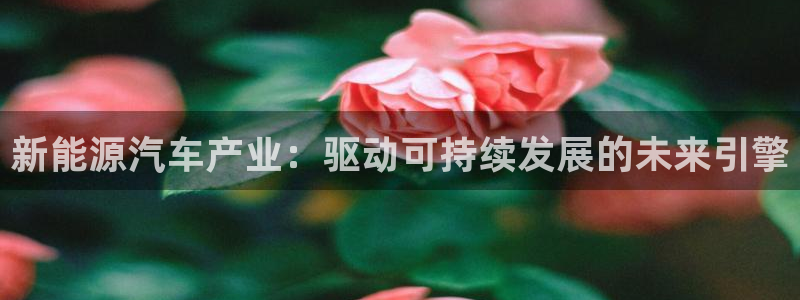 摩根娱乐宝是什么东西:新能源汽车产业:驱动可持续发展的未来引