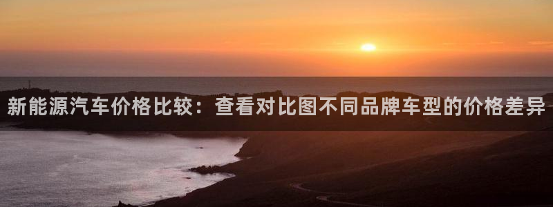 摩根大通投资娱乐公司:新能源汽车价格比较:查看对比图不同品牌