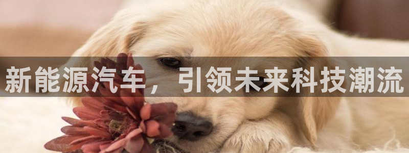 义乌摩根娱乐会所价格