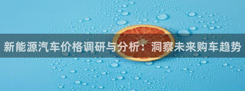 摩根娱乐宝合法吗:新能源汽车价格调研与分析:洞察未来购车趋势