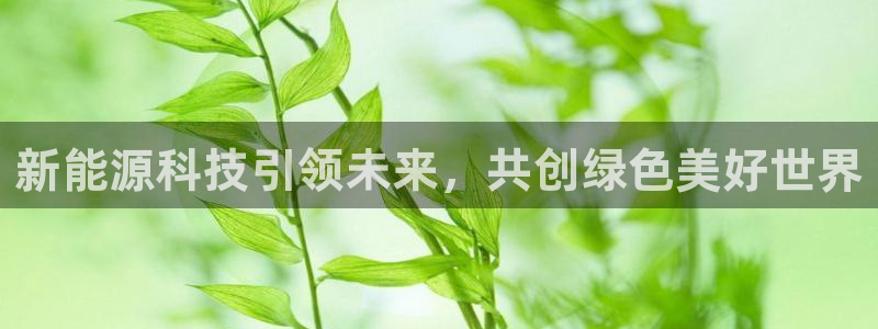 摩根娱乐宝-