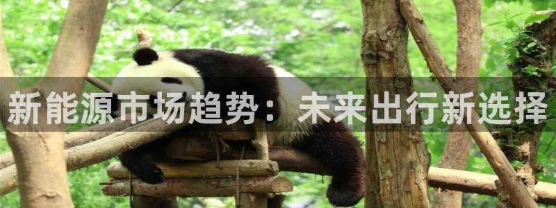 济宁摩根国际娱乐