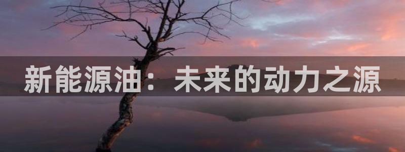 摩根娱乐宝总部招商