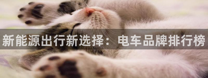 摩根娱乐_ c招a商77130：新能源出