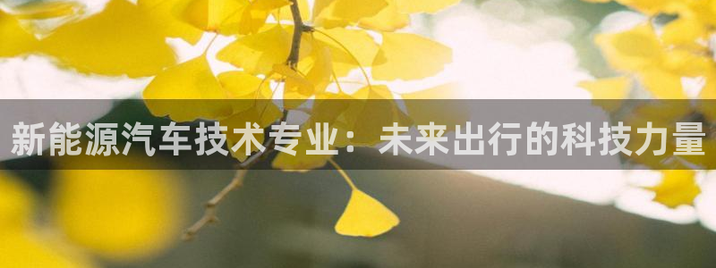 摩根娱乐彩票挂机