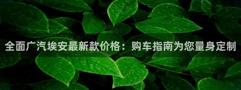 摩根娱乐平台:全面广汽埃安最新款价格:购车指南为您量身定制