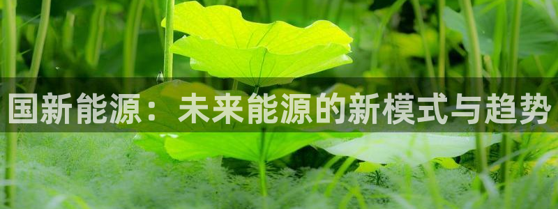 摩根娱乐宝怎样拉下线:国新能源:未来能源的新模式与趋势