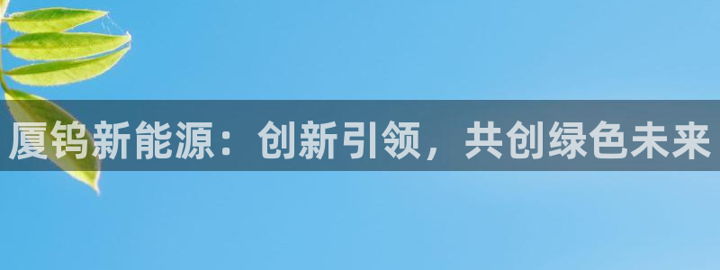 摩根餐饮娱乐:厦钨新能源:创新引领,共创绿色未来