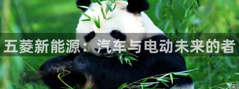 摩根娱乐宝是什么意思:五菱新能源:汽车与电动未来的者