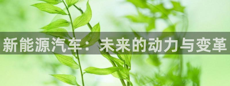 摩根娱乐平台:新能源汽车:未来的动力与变革