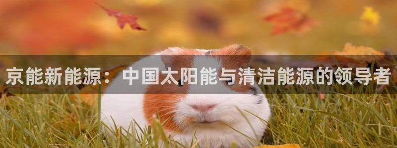 摩根娱乐注册m总管:京能新能源:中国太阳能与清洁能源的领导者