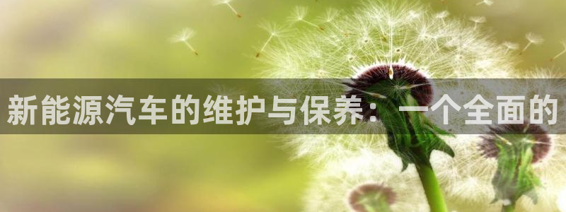 摩根娱乐宝官网百度:新能源汽车的维护与保养:一个全面的