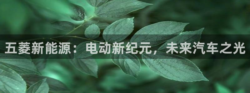 华视娱乐摩根王琛:五菱新能源:电动新纪元,未来汽车之光