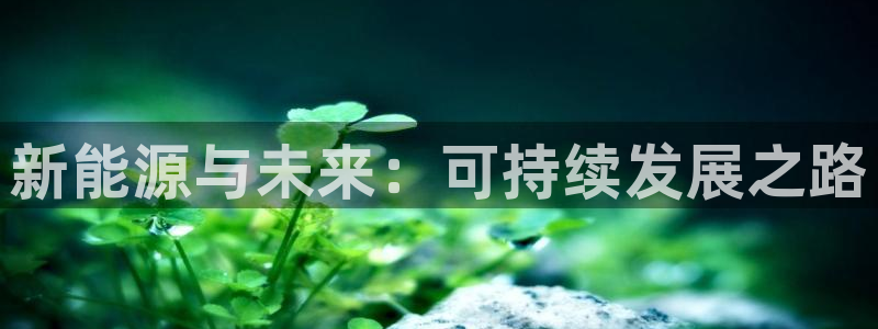 摩根娱乐宝账户:新能源与未来:可持续发展之路