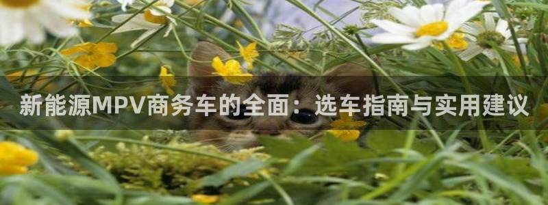 摩根会娱乐会所:新能源MPV商务车的全面:选车指南与实用建议