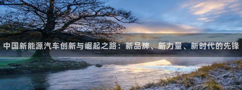 摩根娱乐是真的呀:中国新能源汽车创新与崛起之路:新品牌、新力