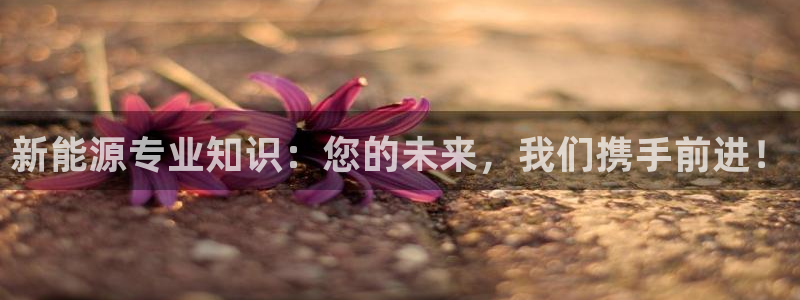 摩根娱乐注册平台:新能源专业知识:您的未来,我们携手前进!