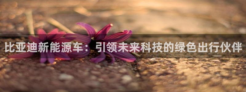 摩根娱乐包是什么:比亚迪新能源车:引领未来科技的绿色出行伙伴