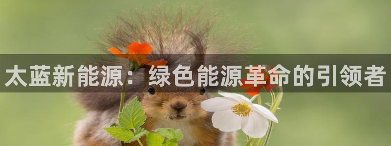 重生娱乐人生莉莉丝摩根:太蓝新能源:绿色能源革命的引领者