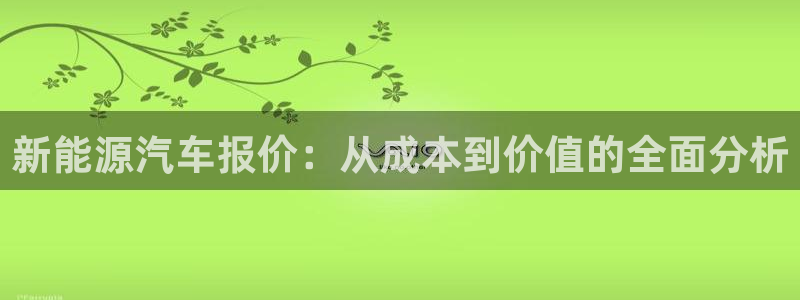 摩根娱乐宝是什么东西:新能源汽车报价:从成本到价值的全面分析
