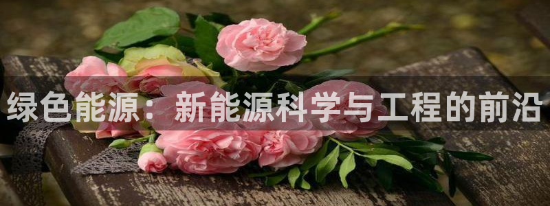 嘉兴摩根大饭店 娱乐:绿色能源:新能源科学与工程的前沿