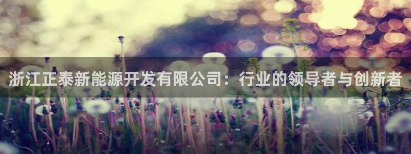 摩根娱乐宝账户:浙江正泰新能源开发有限公司:行业的领导者与创