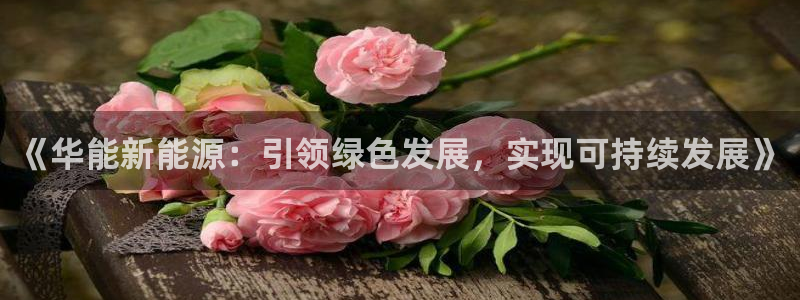 摩根娱乐宝合法吗：《华能新能源：引领绿色